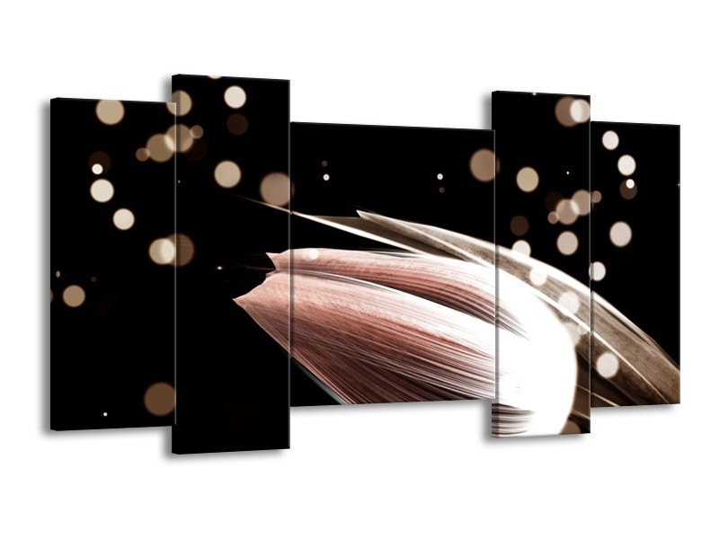 Canvas schilderij Tulp | Bruin, Zwart | 120x65 5Luik