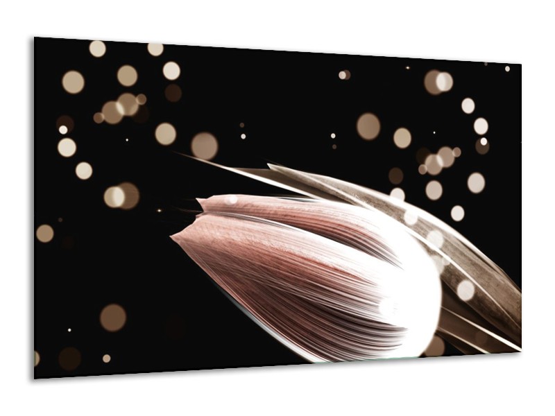 Canvas schilderij Tulp | Bruin, Zwart | 120x70cm 1Luik