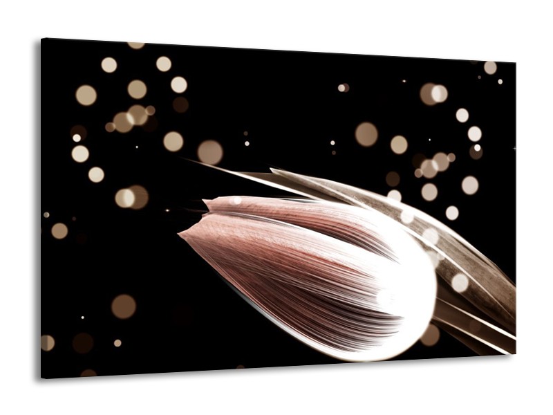 Canvas schilderij Tulp | Bruin, Zwart | 140x90cm 1Luik