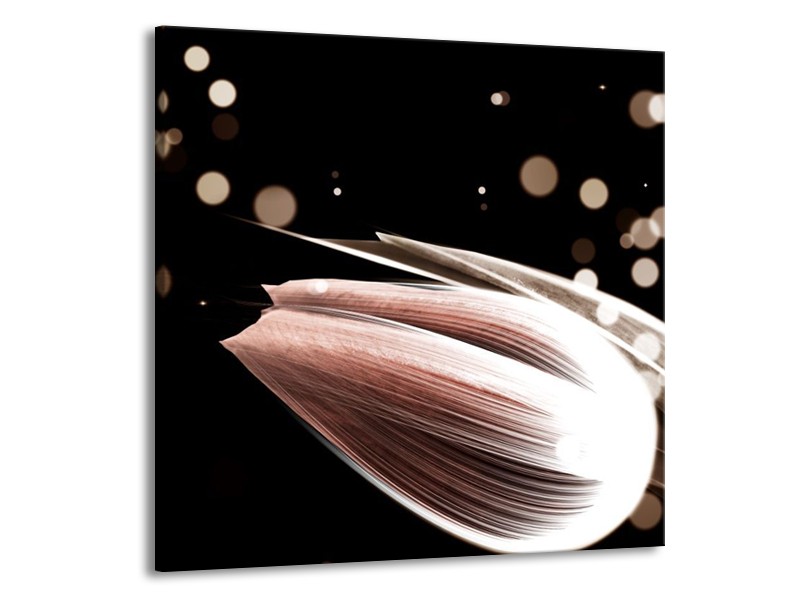 Canvas schilderij Tulp | Bruin, Zwart | 50x50cm 1Luik