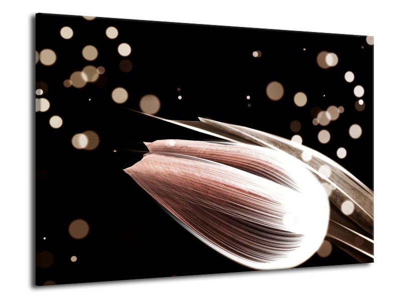 Canvas schilderij Tulp | Bruin, Zwart | 70x50cm 1Luik