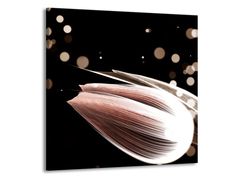 Canvas schilderij Tulp | Bruin, Zwart | 70x70cm 1Luik