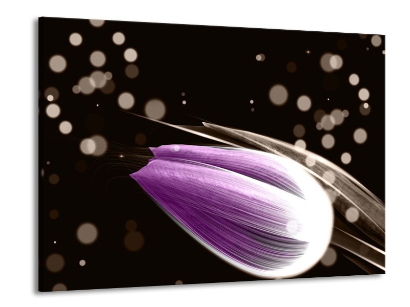 Canvas schilderij Tulp | Paars, Zwart | 100x70cm 1Luik