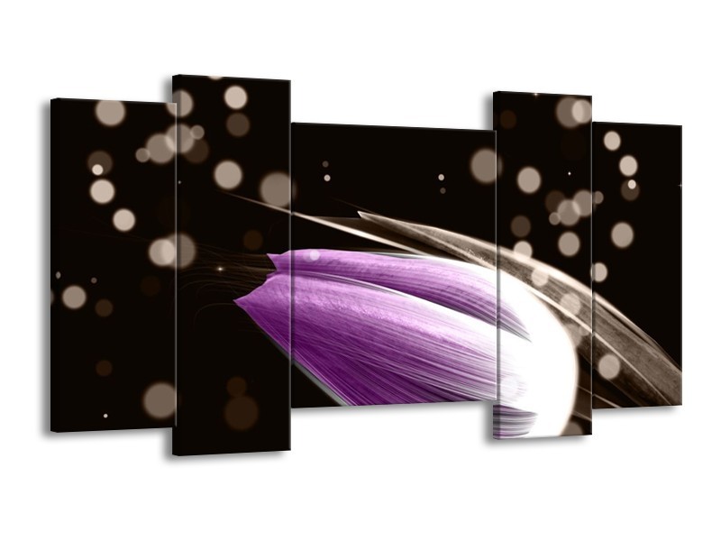Canvas schilderij Tulp | Paars, Zwart | 120x65 5Luik