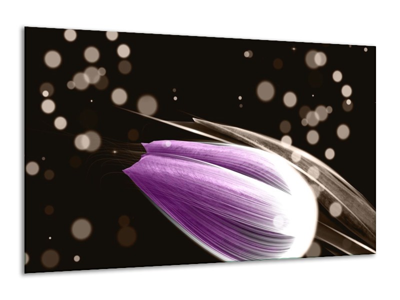 Canvas schilderij Tulp | Paars, Zwart | 120x70cm 1Luik