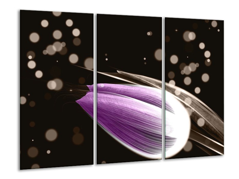 Canvas schilderij Tulp | Paars, Zwart | 120x80cm 3Luik