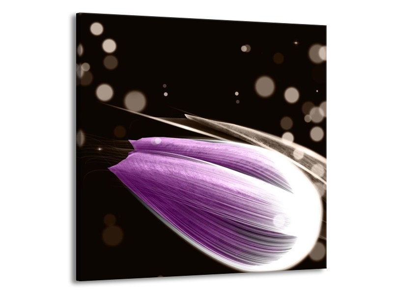 Canvas schilderij Tulp | Paars, Zwart | 50x50cm 1Luik