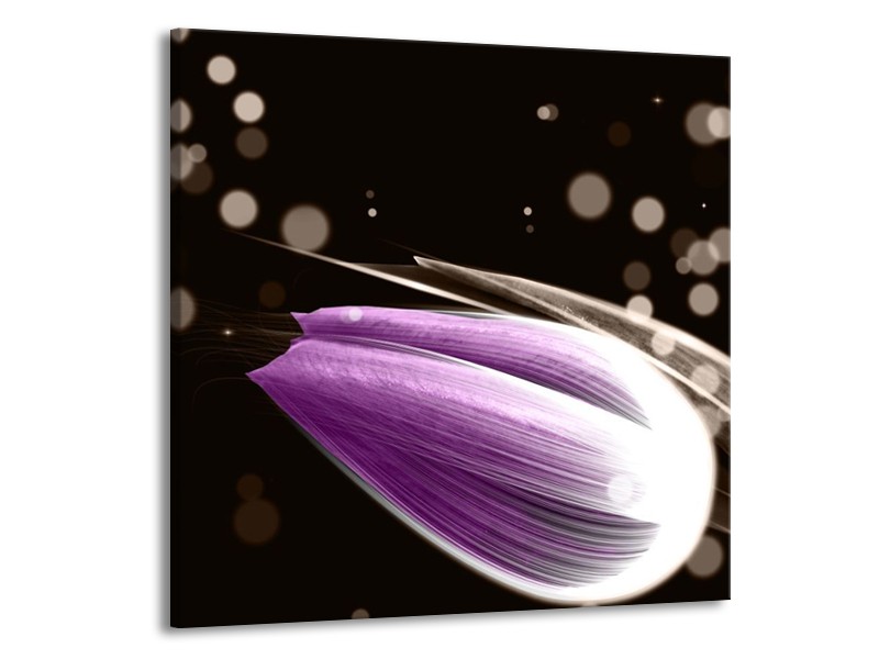 Canvas schilderij Tulp | Paars, Zwart | 70x70cm 1Luik