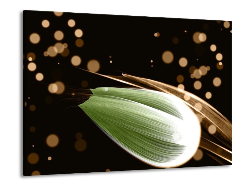 Canvas schilderij Tulp | Groen, Bruin, Zwart | 100x70cm 1Luik