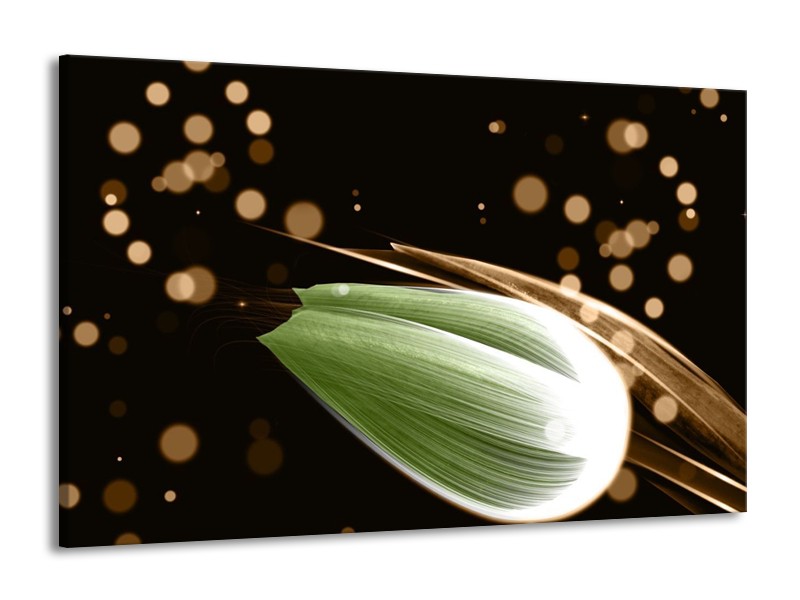 Canvas schilderij Tulp | Groen, Bruin, Zwart | 140x90cm 1Luik