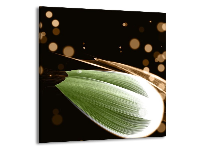 Canvas schilderij Tulp | Groen, Bruin, Zwart | 50x50cm 1Luik