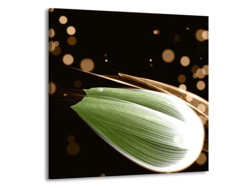 Canvas schilderij Tulp | Groen, Bruin, Zwart | 70x70cm 1Luik