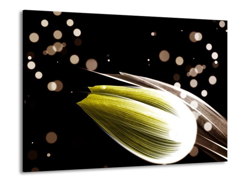 Canvas schilderij Tulp | Geel, Zwart | 100x70cm 1Luik
