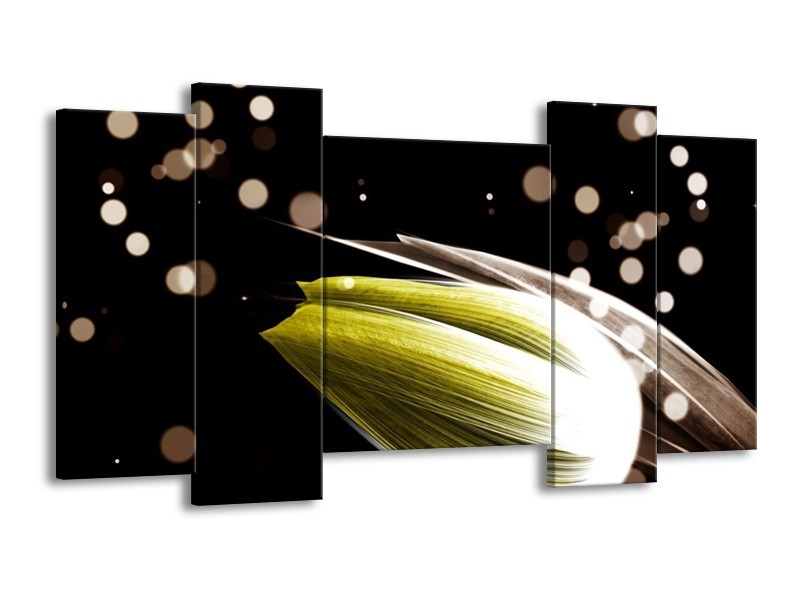 Canvas schilderij Tulp | Geel, Zwart | 120x65 5Luik