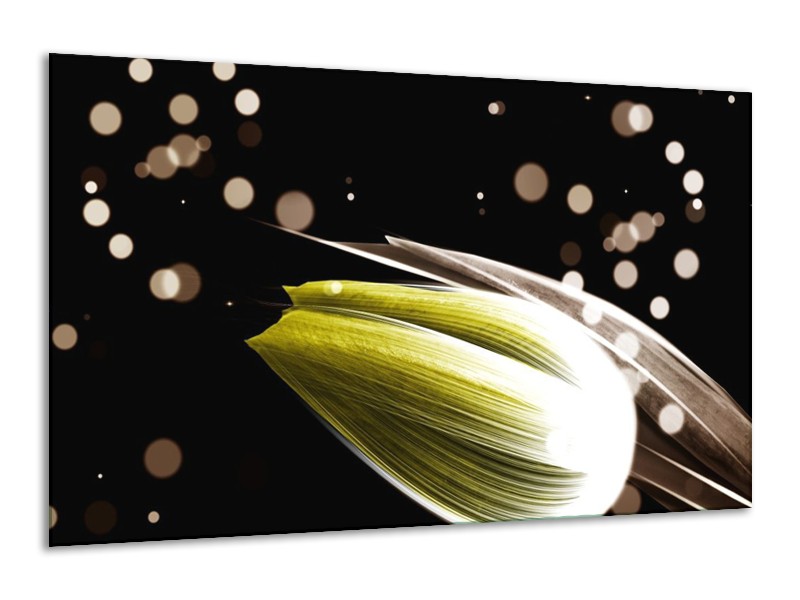 Canvas schilderij Tulp | Geel, Zwart | 120x70cm 1Luik