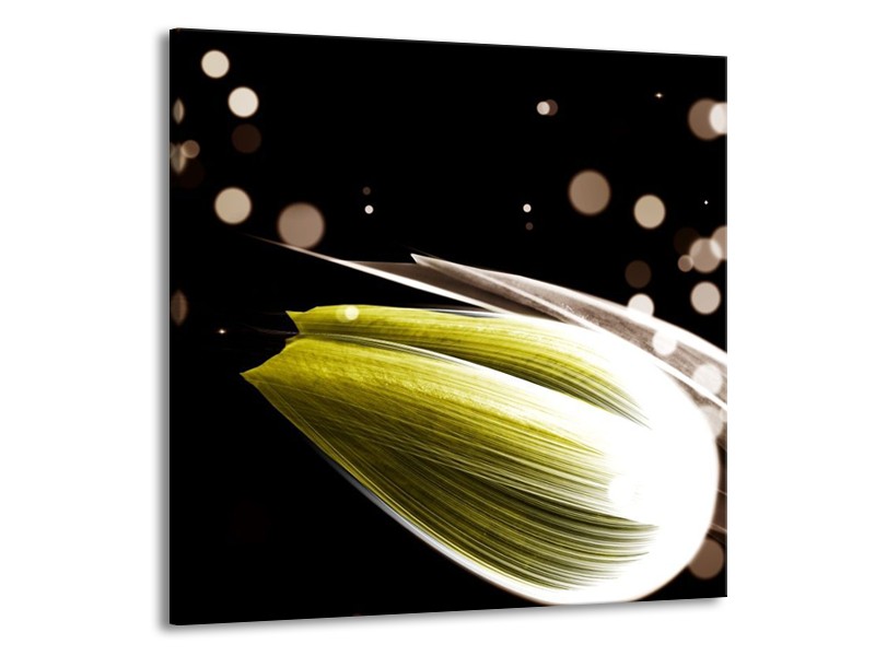 Canvas schilderij Tulp | Geel, Zwart | 50x50cm 1Luik