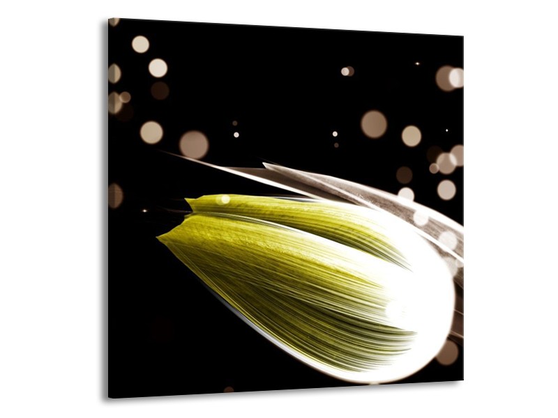 Canvas schilderij Tulp | Geel, Zwart | 70x70cm 1Luik