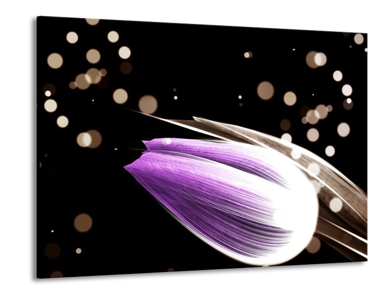 Canvas schilderij Tulp | Paars, Zwart | 100x70cm 1Luik