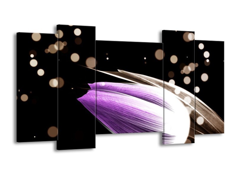Canvas schilderij Tulp | Paars, Zwart | 120x65 5Luik