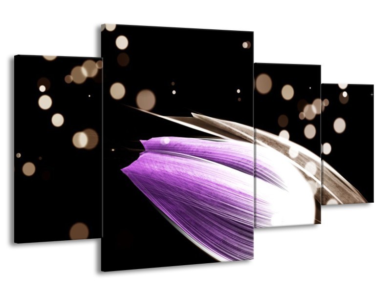 Canvas schilderij Tulp | Paars, Zwart | 160x90cm 4Luik