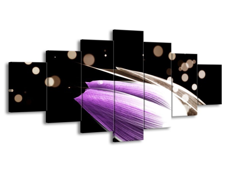 Canvas schilderij Tulp | Paars, Zwart | 210x100cm 7Luik