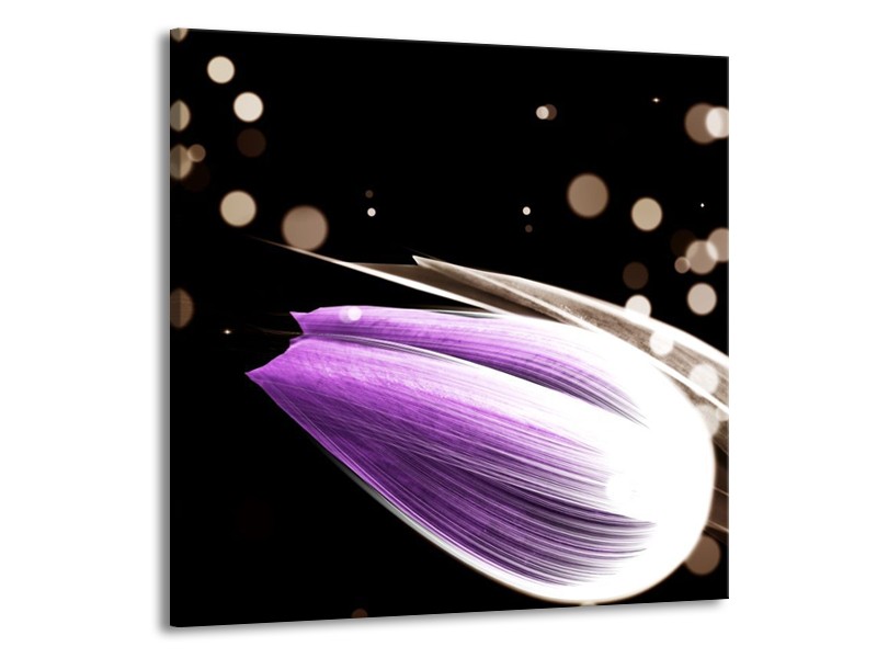 Canvas schilderij Tulp | Paars, Zwart | 70x70cm 1Luik