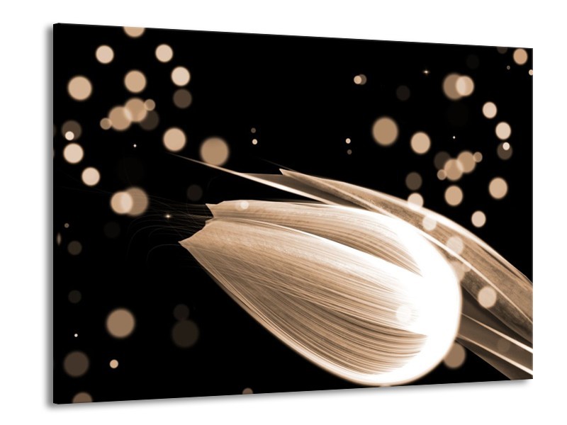 Canvas schilderij Tulp | Bruin, Zwart | 100x70cm 1Luik