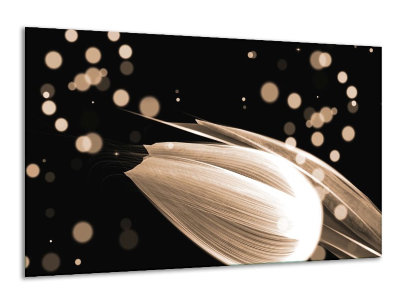 Canvas schilderij Tulp | Bruin, Zwart | 120x70cm 1Luik