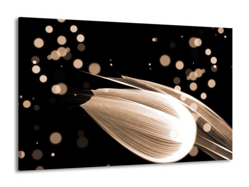 Canvas schilderij Tulp | Bruin, Zwart | 140x90cm 1Luik