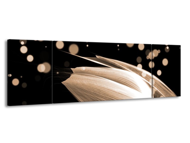Canvas schilderij Tulp | Bruin, Zwart | 170x50cm 3Luik