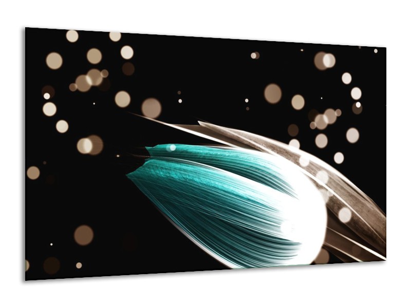Canvas schilderij Tulp | Blauw, Zwart | 120x70cm 1Luik