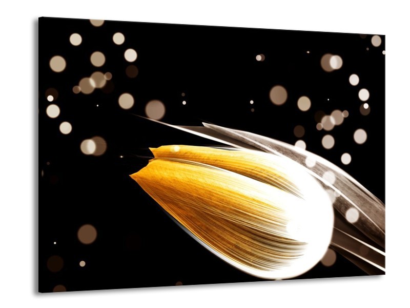 Canvas schilderij Tulp | Oranje, Zwart | 100x70cm 1Luik
