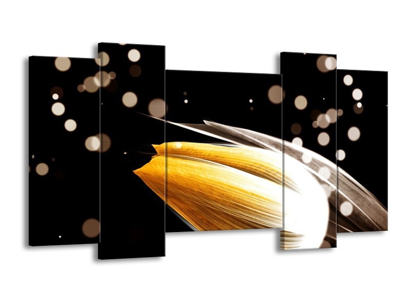 Canvas schilderij Tulp | Oranje, Zwart | 120x65 5Luik