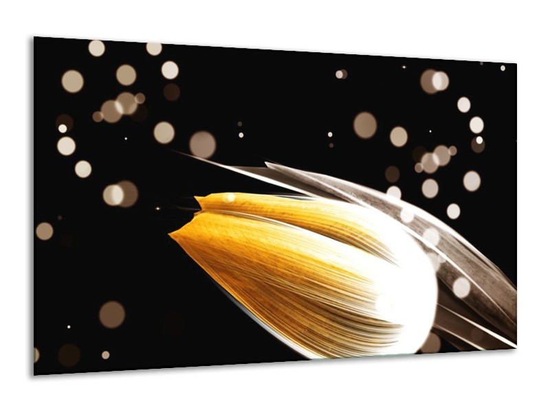 Canvas schilderij Tulp | Oranje, Zwart | 120x70cm 1Luik
