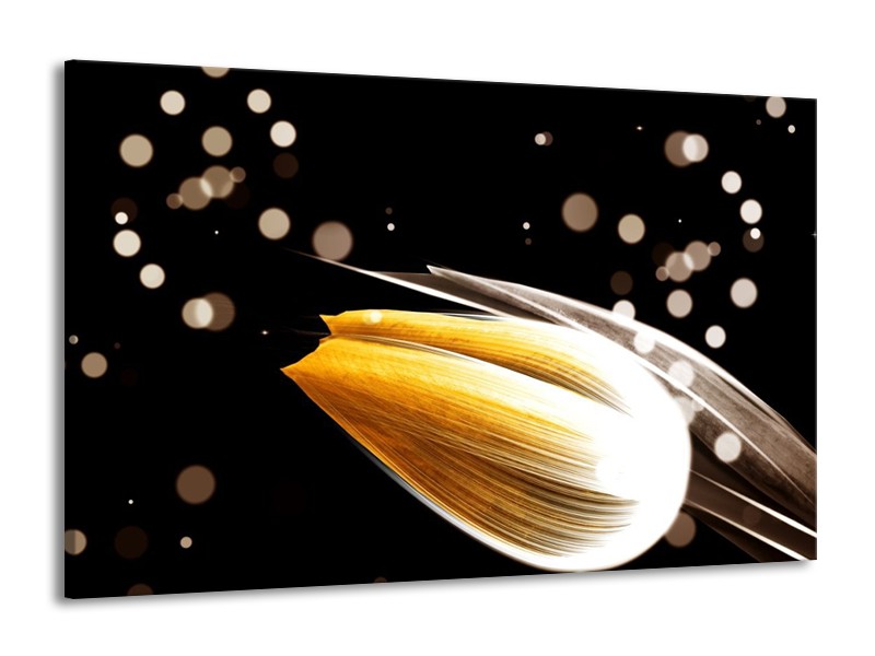 Canvas schilderij Tulp | Oranje, Zwart | 140x90cm 1Luik