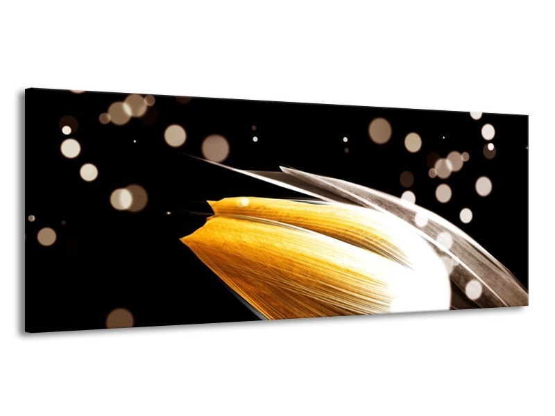 Canvas schilderij Tulp | Oranje, Zwart | 145x58cm 1Luik