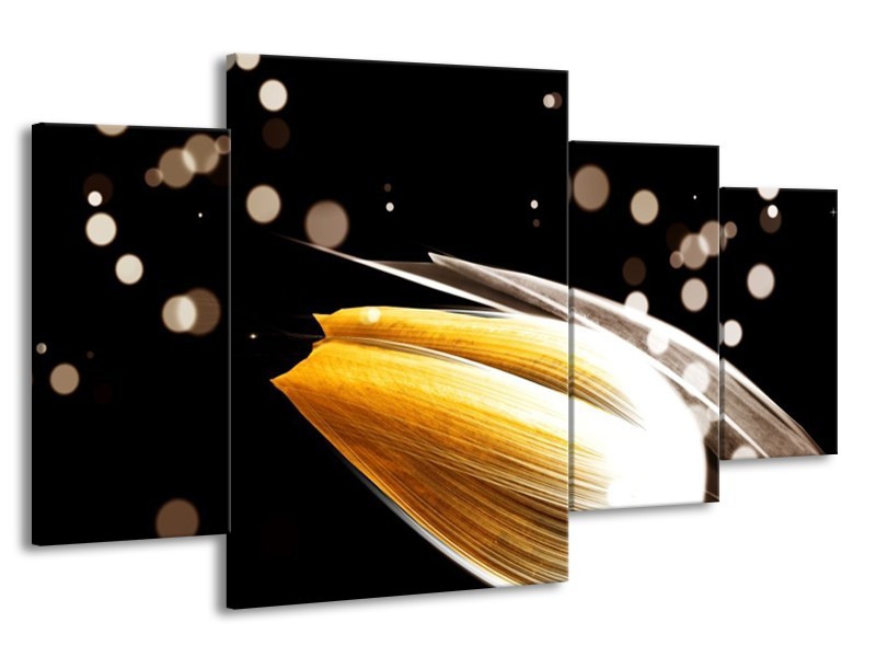 Canvas schilderij Tulp | Oranje, Zwart | 160x90cm 4Luik