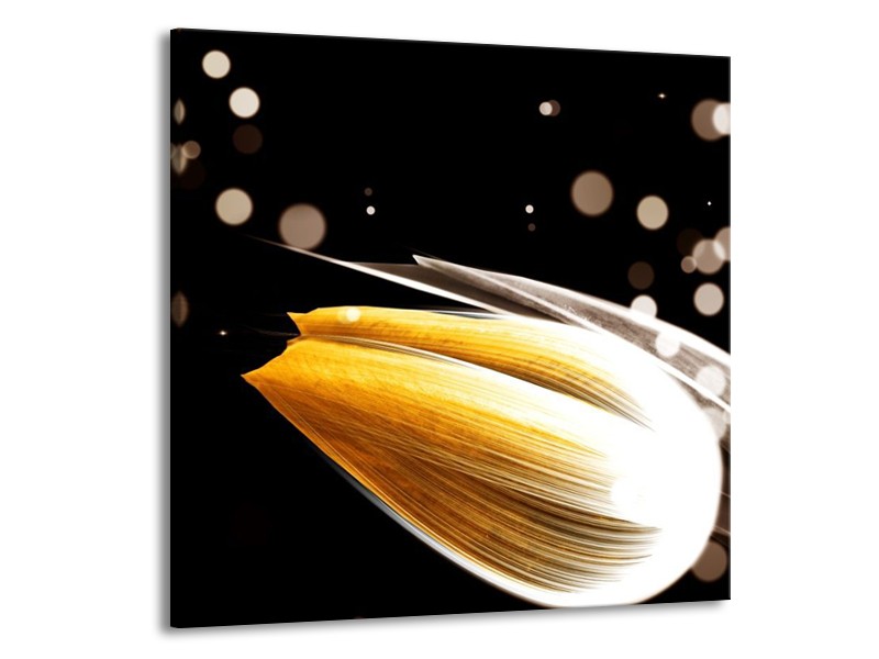 Canvas schilderij Tulp | Oranje, Zwart | 50x50cm 1Luik