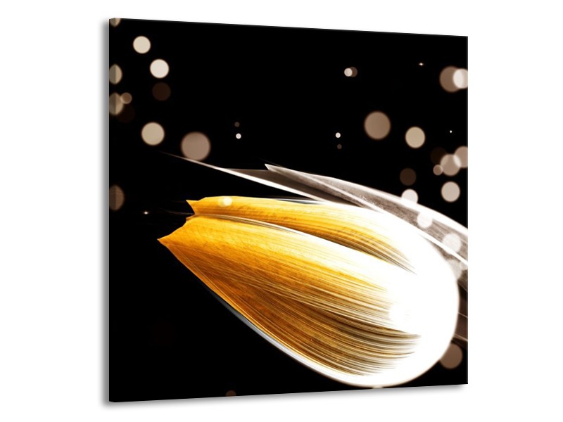 Canvas schilderij Tulp | Oranje, Zwart | 70x70cm 1Luik