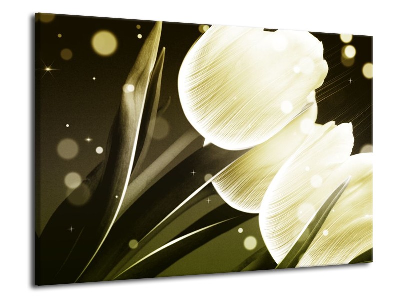Glas schilderij Tulp | Wit, Grijs | 70x50cm 1Luik