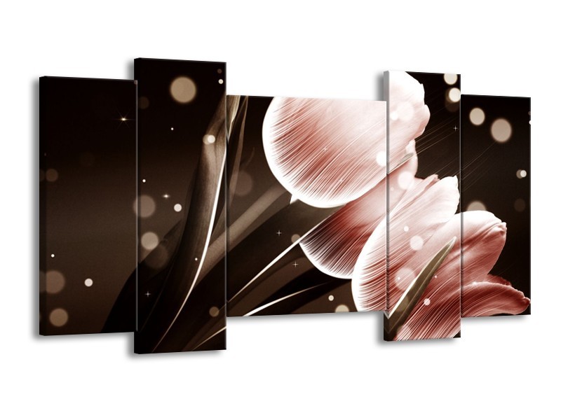 Canvas schilderij Tulp | Bruin, Zwart | 120x65 5Luik