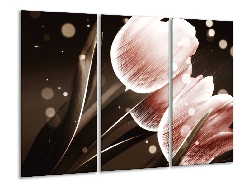 Canvas schilderij Tulp | Bruin, Zwart | 120x80cm 3Luik