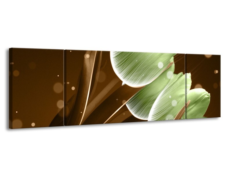 Glas schilderij Tulp | Groen, Bruin | 170x50cm 3Luik