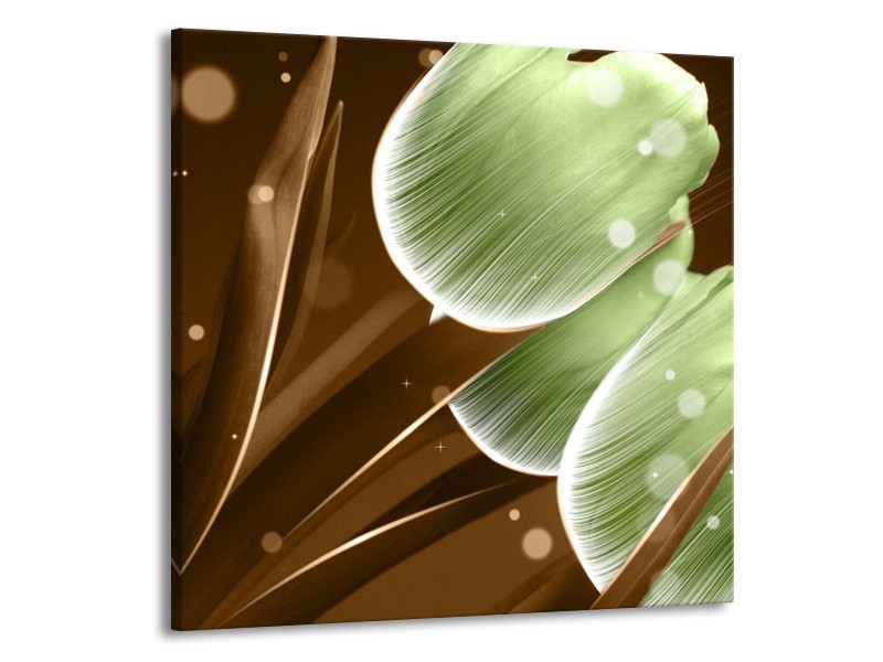 Glas schilderij Tulp | Groen, Bruin | 70x70cm 1Luik