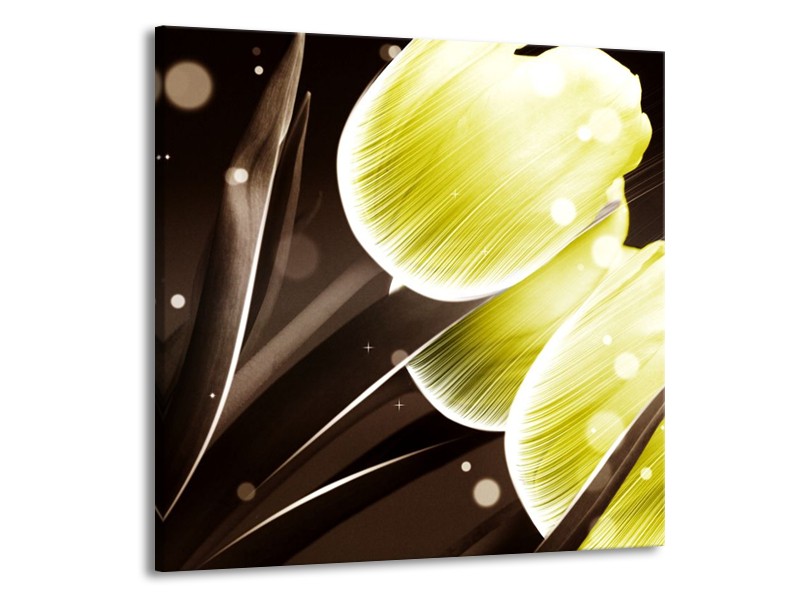 Glas schilderij Tulp | Geel, Bruin | 70x70cm 1Luik