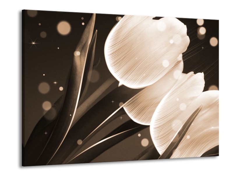 Canvas schilderij Tulp | Wit, Grijs | 100x70cm 1Luik
