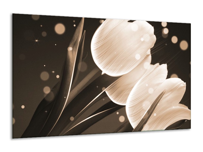 Canvas schilderij Tulp | Wit, Grijs | 120x70cm 1Luik