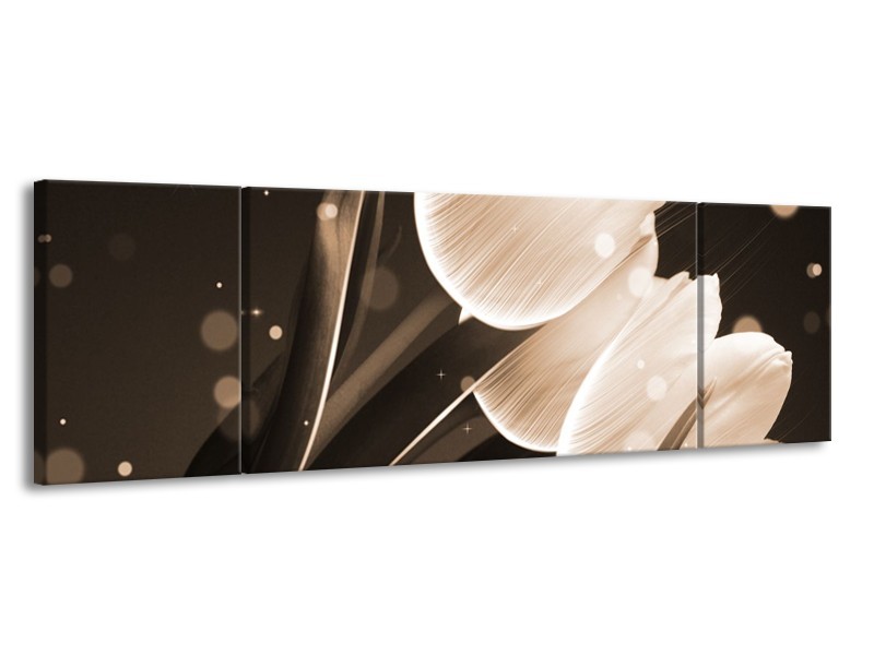 Canvas schilderij Tulp | Wit, Grijs | 170x50cm 3Luik