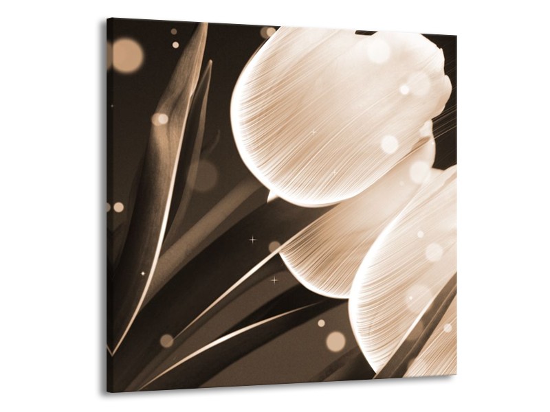Glas schilderij Tulp | Wit, Grijs | 50x50cm 1Luik