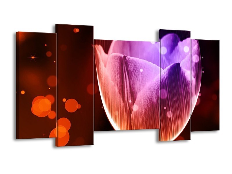 Canvas schilderij Tulp | Paars, Rood | 120x65 5Luik